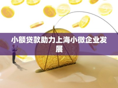 小额贷款助力上海小微企业发展