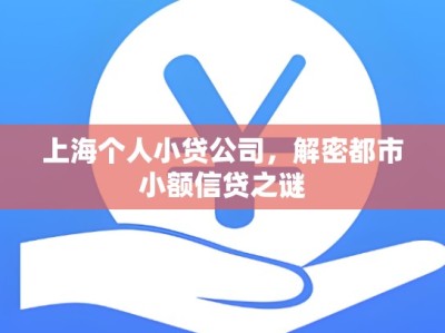 上海个人小贷公司，解密都市小额信贷之谜