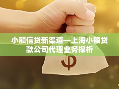 小额信贷新渠道—上海小额贷款公司代理业务探析