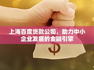 上海百度贷款公司，助力中小企业发展的金融引擎