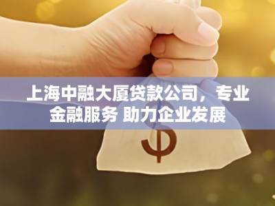上海中融大厦贷款公司，专业金融服务 助力企业发展