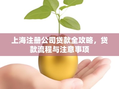 上海注册公司贷款全攻略，贷款流程与注意事项